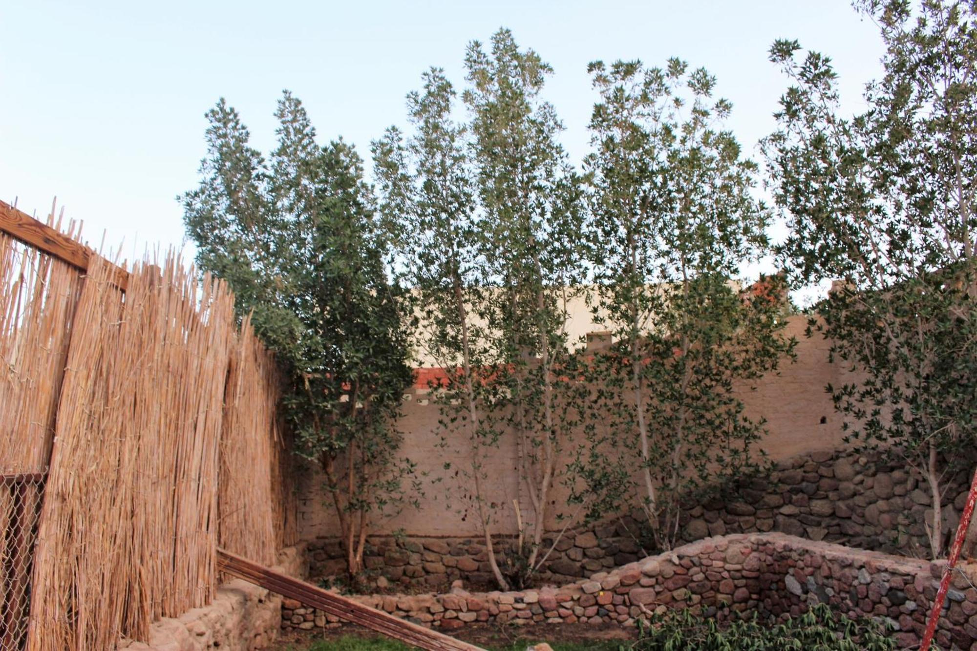 Sinai Old Spices B&B Шарм ел-Шейх Стая снимка