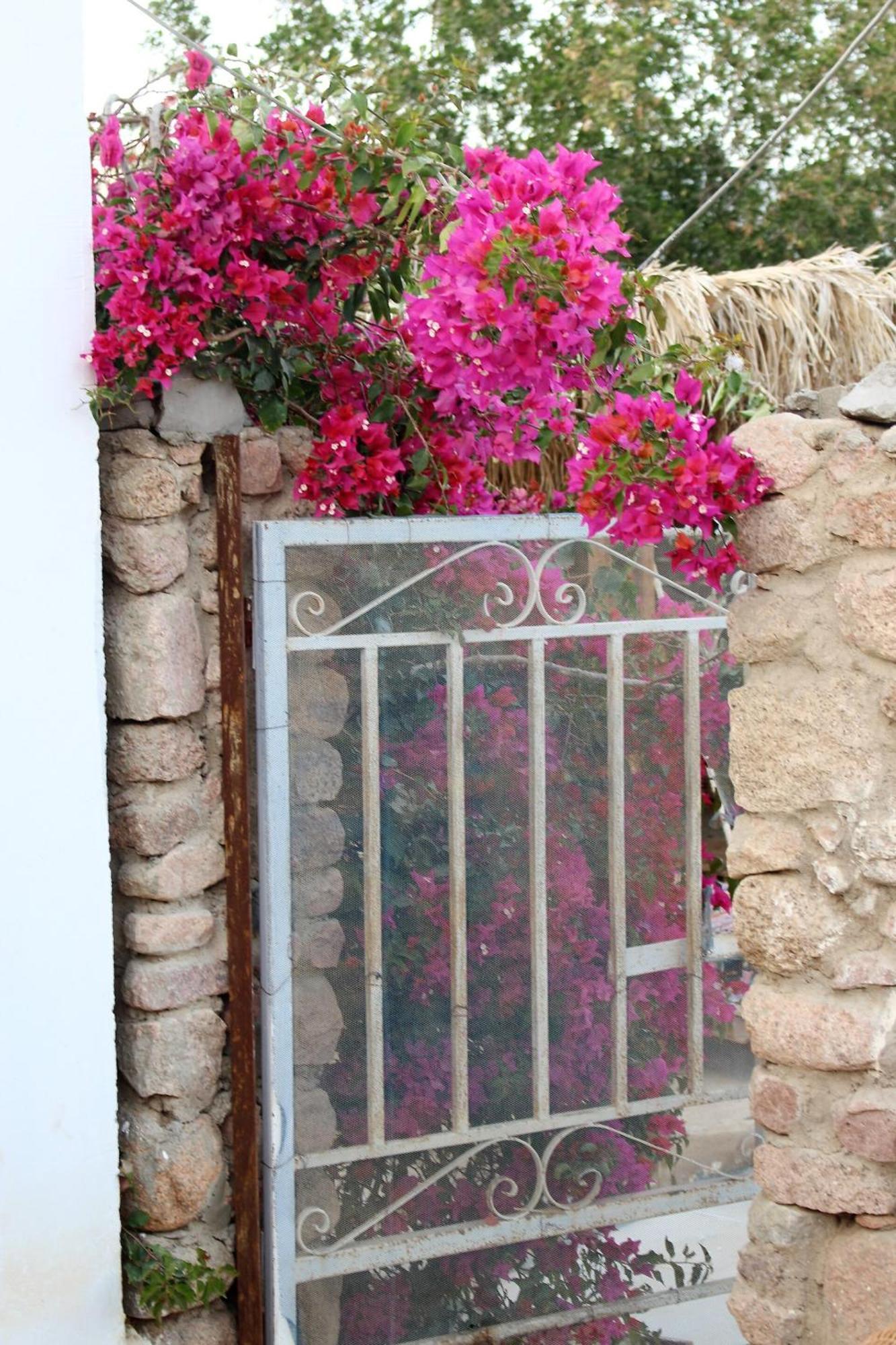 Sinai Old Spices B&B Шарм ел-Шейх Стая снимка